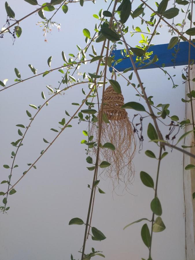 Appartamento Dar Janis Djerba دار يانيس جربة Houmt Souk  Camera foto