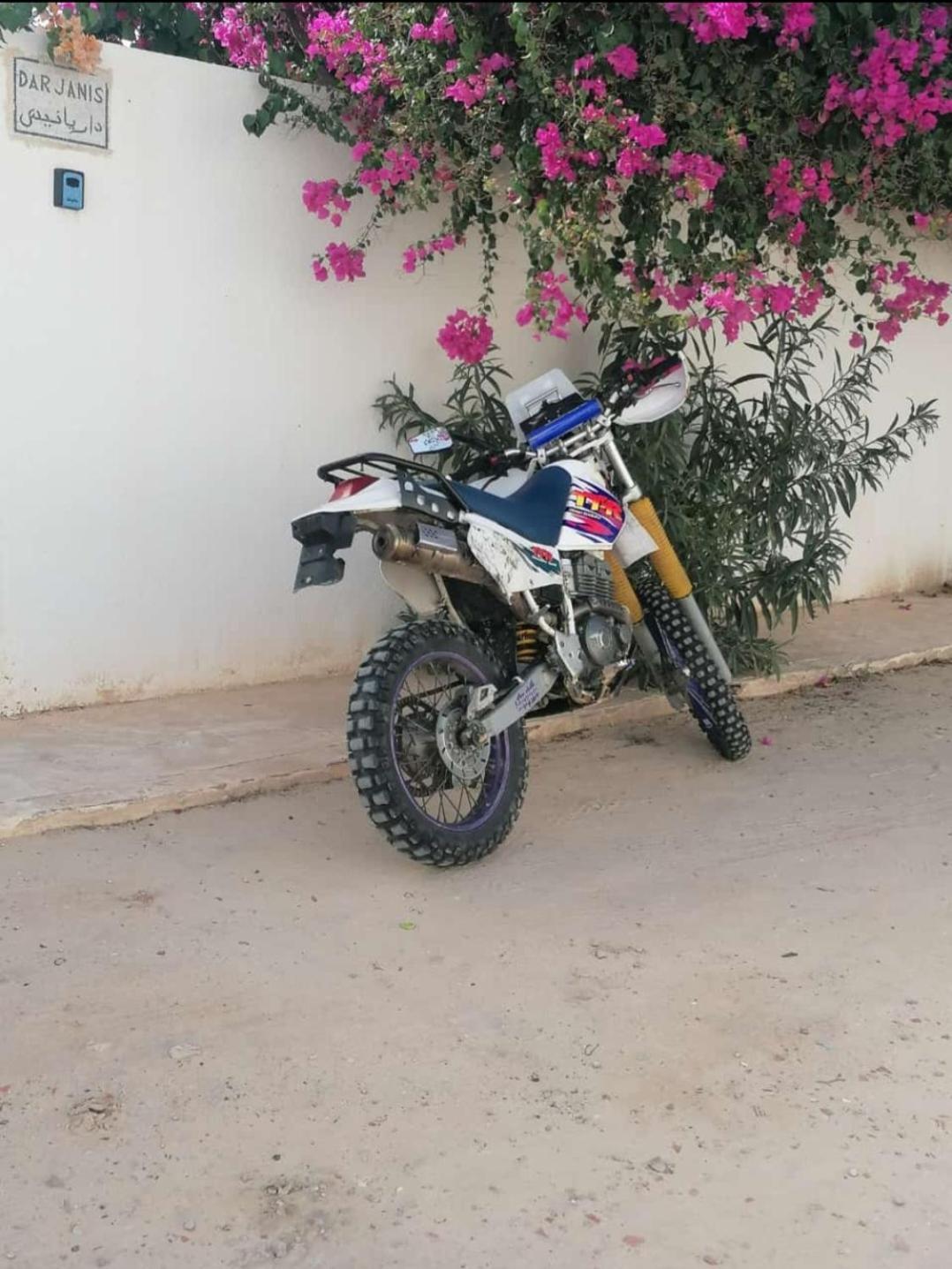 Appartamento Dar Janis Djerba دار يانيس جربة Houmt Souk  Esterno foto